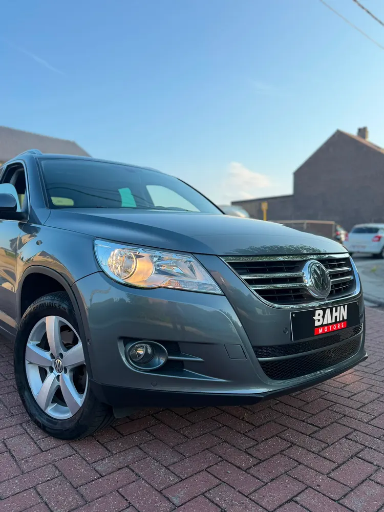 Image 19
